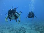 Hawaii Scuba divng 53