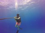 Hawaii Scuba divng 13