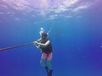 Hawaii Scuba divng 14