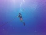 Hawaii Scuba divng 19