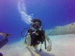 Hawaii Scuba divng 30