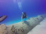 Hawaii Scuba divng 33