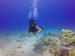 Hawaii Scuba divng 38