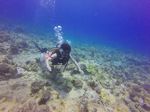 Hawaii Scuba divng 41