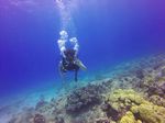 Hawaii Scuba divng 43