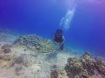 Hawaii Scuba divng 44