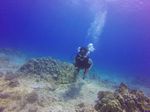 Hawaii Scuba divng 45