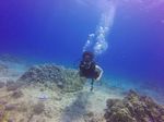 Hawaii Scuba divng 46