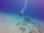 Hawaii Scuba divng 48