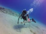 Hawaii Scuba divng 51