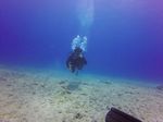 Hawaii Scuba divng 56