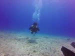 Hawaii Scuba divng 56