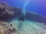 Hawaii Scuba divng 57