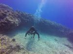 Hawaii Scuba divng 58