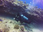 Hawaii Scuba divng 61