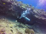 Hawaii Scuba divng 62