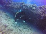 Hawaii Scuba divng 65