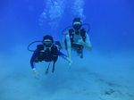 Hawaii Scuba divng 10