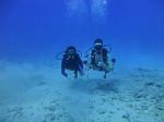 Hawaii Scuba divng 11