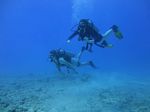 Hawaii Scuba divng 12