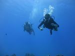 Hawaii Scuba divng 16