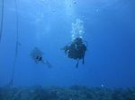 Hawaii Scuba divng 17