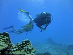 Hawaii Scuba divng 21