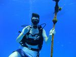 Hawaii Scuba divng 41