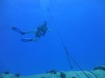 Hawaii Scuba divng 42