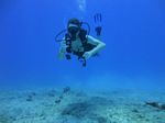 Hawaii Scuba divng 44