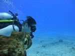 Hawaii Scuba divng 47