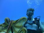 Hawaii Scuba divng 49