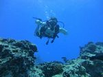 Hawaii Scuba divng 58