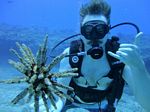 Hawaii Scuba divng 63