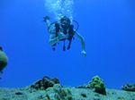 Hawaii Scuba divng 71