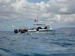 Hawaii Scuba divng 10