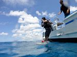 Hawaii Scuba divng 13