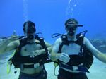 Hawaii Scuba divng 16