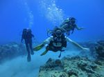 Hawaii Scuba divng 18