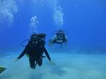 Hawaii Scuba divng 20