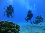 Hawaii Scuba divng 23