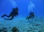 Hawaii Scuba divng 24