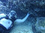 Hawaii Scuba divng 28