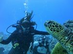 Hawaii Scuba divng 30