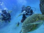 Hawaii Scuba divng 41