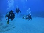 Hawaii Scuba divng 45