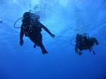 Hawaii Scuba divng 47