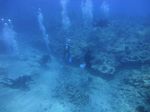 Hawaii Scuba divng 04