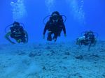 Hawaii Scuba divng 51