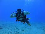 Hawaii Scuba divng 51